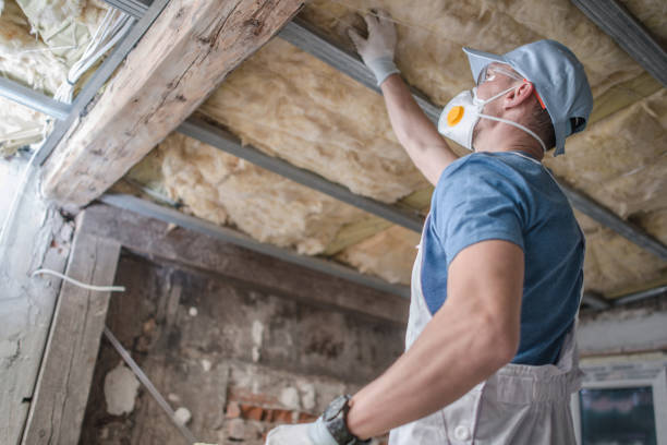 Best Geographic-Specific Insulation Services in Day Heights, OH