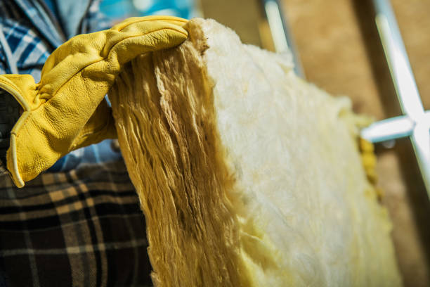 Best Insulation Maintenance and Repair in Day Heights, OH
